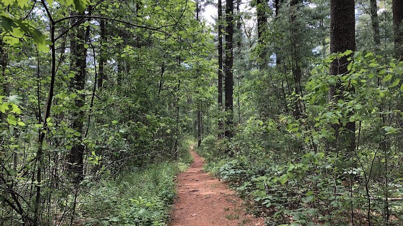 Jarvis Farm - Walpole, MA