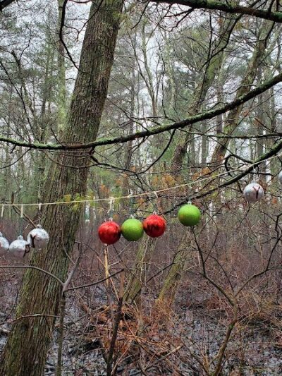 Jarvis Farm - Walpole, MA