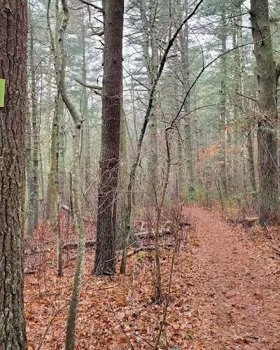 Jarvis Farm - Walpole, MA