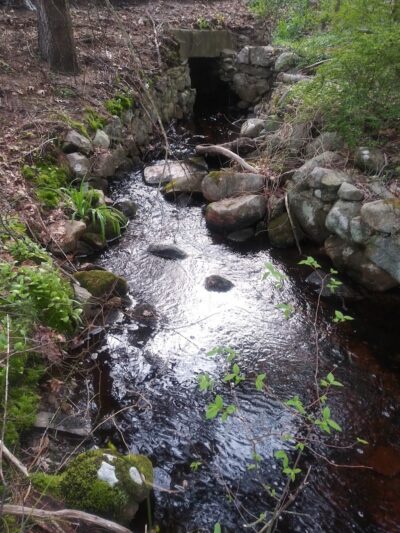Turner Pond - Walpole, MA