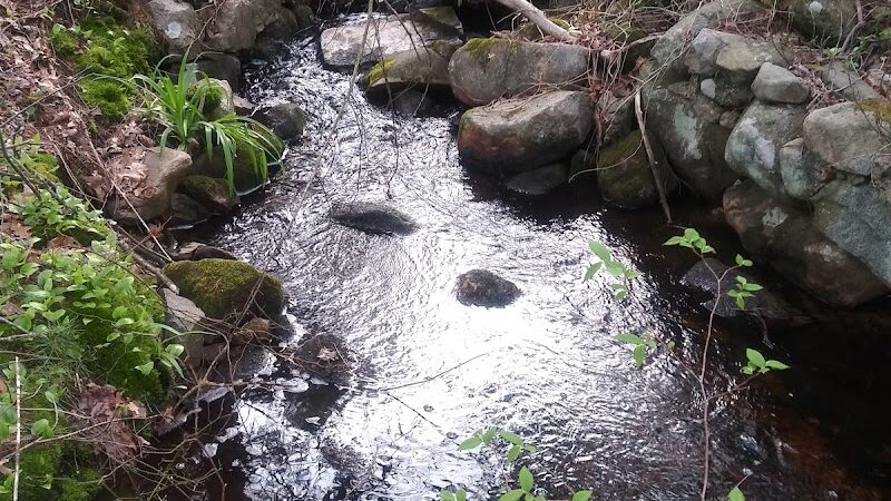 Turner Pond - Walpole, MA