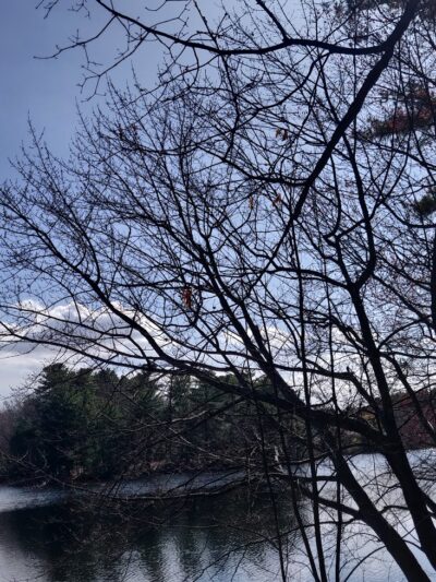 Turner Pond - Walpole, MA