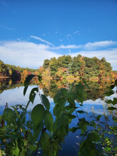 Turner Pond - Walpole, MA