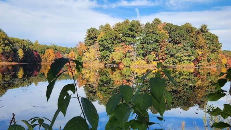 Turner Pond - Walpole, MA