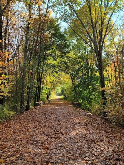 Walpole Town Forest Entrances - Walpole, MA