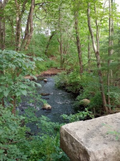 Walpole Town Forest Entrances - Walpole, MA