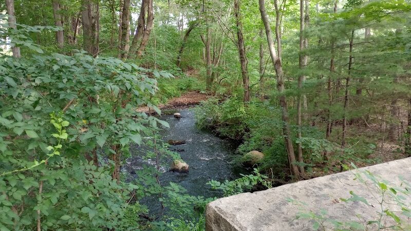 Walpole Town Forest Entrances - Walpole, MA