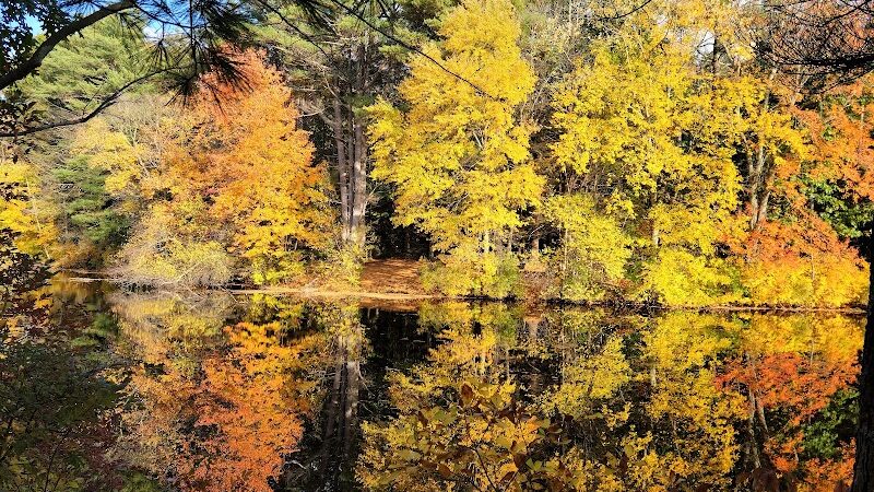 Walpole Town Forest Entrances - Walpole, MA
