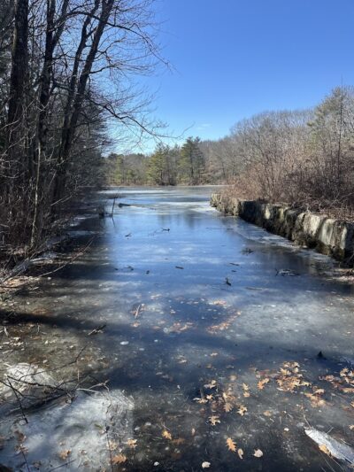 Walpole Trails - Walpole, MA
