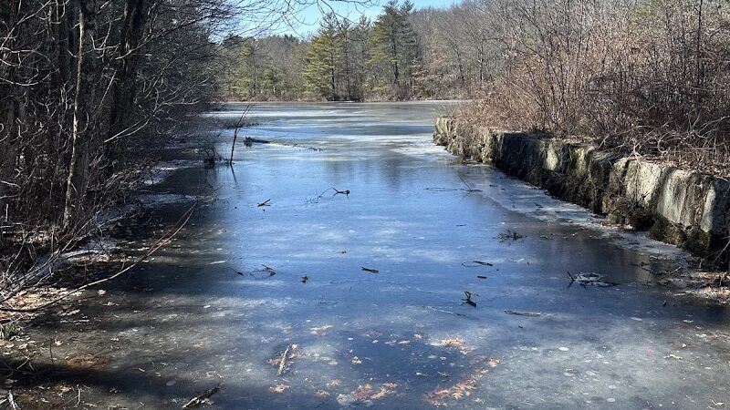 Walpole Trails - Walpole, MA