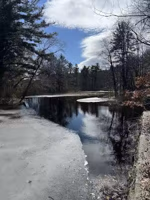 Walpole Trails - Walpole, MA
