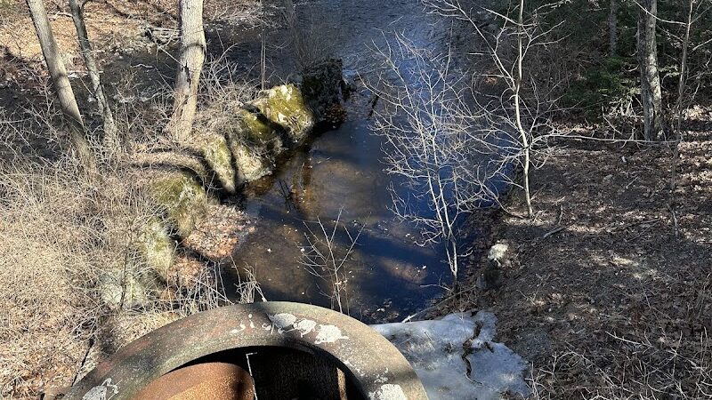 Walpole Trails - Walpole, MA