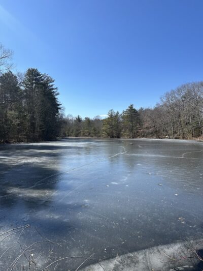 Walpole Trails - Walpole, MA