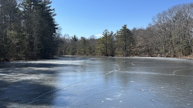 Walpole Trails - Walpole, MA