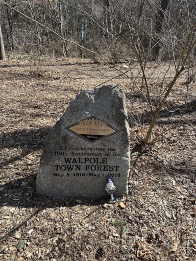 Walpole Trails - Walpole, MA