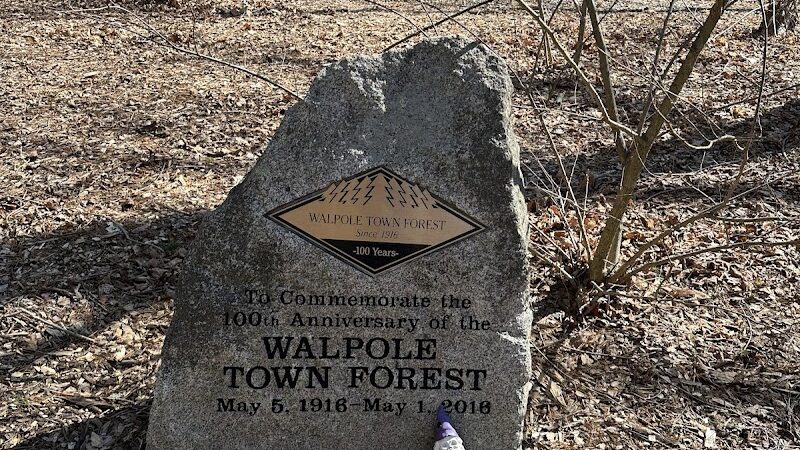 Walpole Trails - Walpole, MA