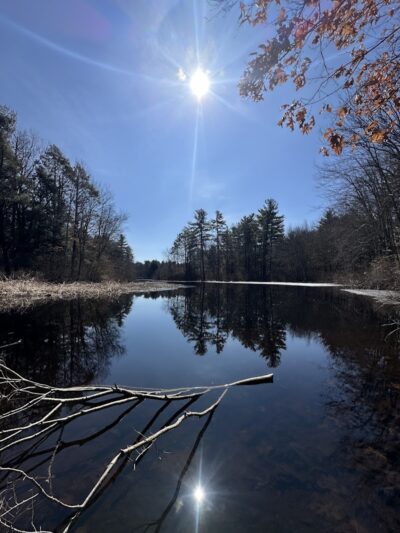 Walpole Trails - Walpole, MA