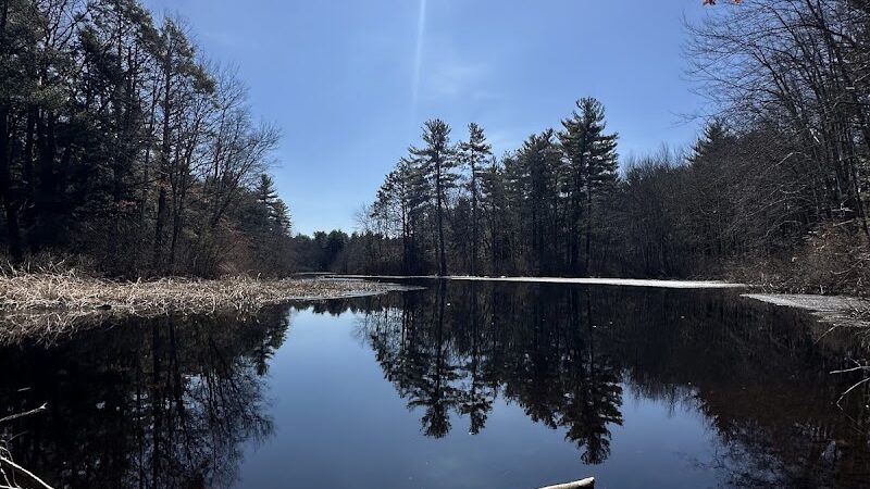 Walpole Trails - Walpole, MA