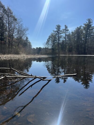 Walpole Trails - Walpole, MA
