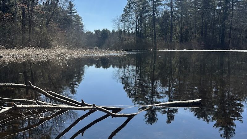 Walpole Trails - Walpole, MA