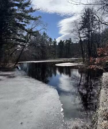 Walpole Trails - Walpole, MA
