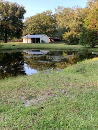 Dawn's Doggie Spot - Walterboro, SC