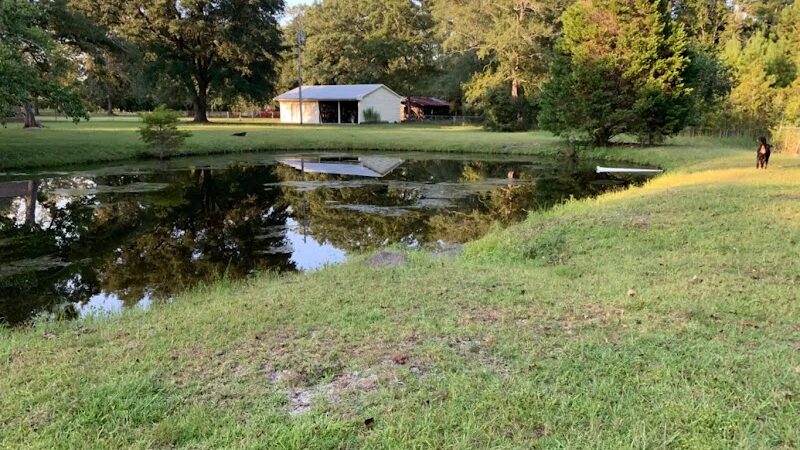 Dawn's Doggie Spot - Walterboro, SC