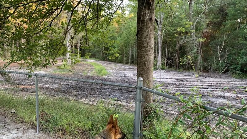 Dawn's Doggie Spot - Walterboro, SC