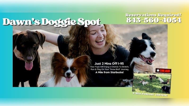 Dawn's Doggie Spot - Walterboro, SC