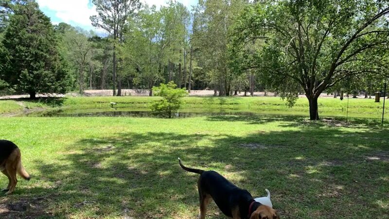 Dawn's Doggie Spot - Walterboro, SC