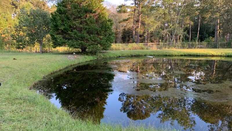 Dawn's Doggie Spot - Walterboro, SC