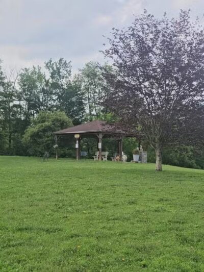 Wantage Dog Park - Wantage, NJ