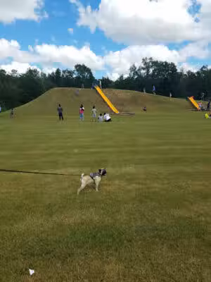 The Walk at Sandy Run - Warner Robins, GA
