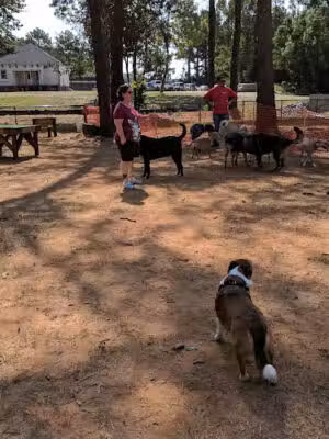 Wellston Park1 - Warner Robins, GA