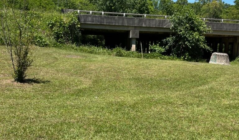 Wellston Trail Greenway - Warner Robins, GA