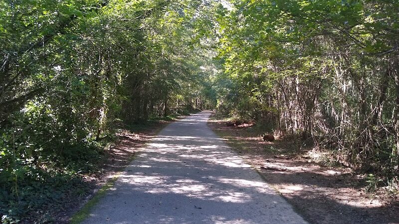 Wellston Trail Greenway - Warner Robins, GA