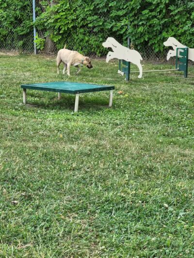 Burdi Park - Warren, MI