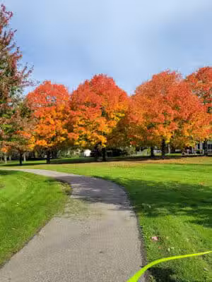 City of Warren Halmich Park - Warren,