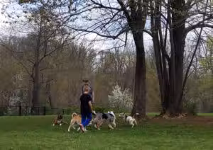 East County Park - Warren, NJ
