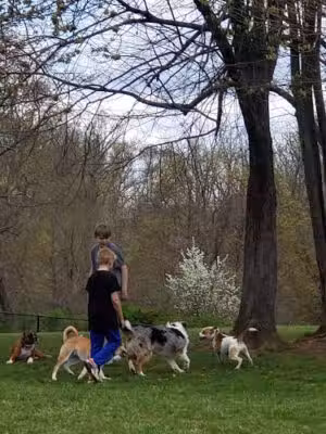 East County Park - Warren, NJ