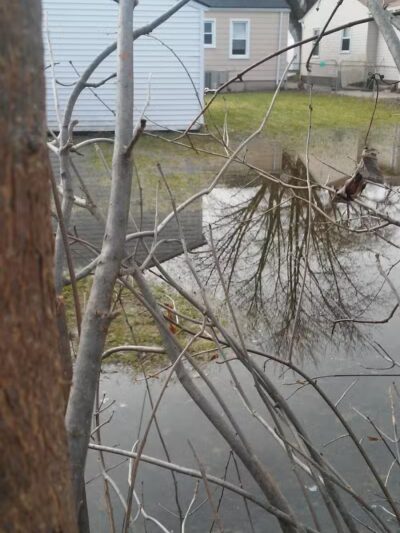 Trombly Park - Warren,