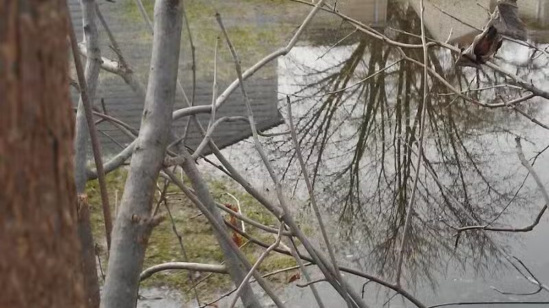 Trombly Park - Warren,