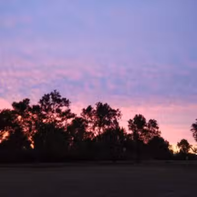 Trombly Park - Warren,