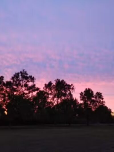 Trombly Park - Warren,