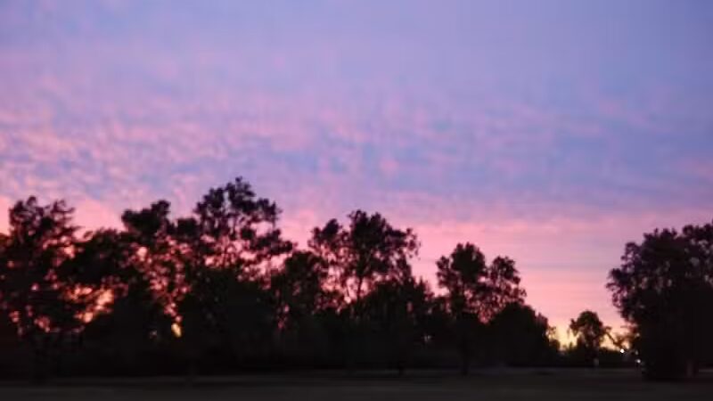 Trombly Park - Warren,