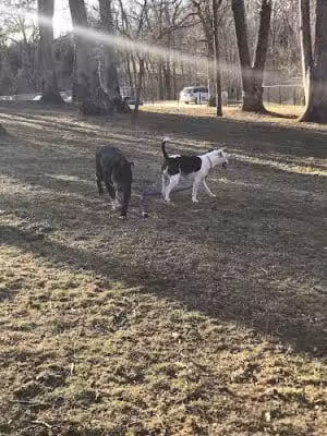 Warrenton Dog Park - Warrenton, MO