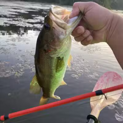 Langley Pond Park - Warrenville, SC