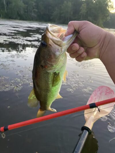 Langley Pond Park - Warrenville, SC