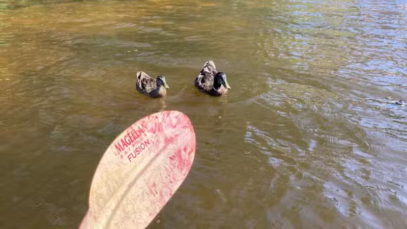 Langley Pond Park - Warrenville, SC