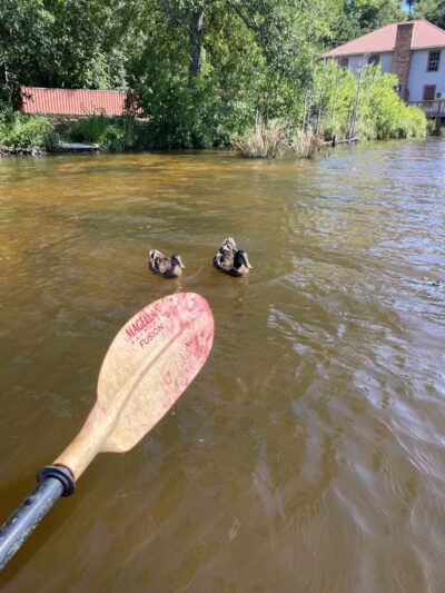 Langley Pond Park - Warrenville, SC